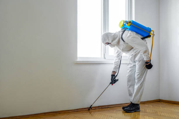 Best Best Pest Control Companies  in Gahanna, OH